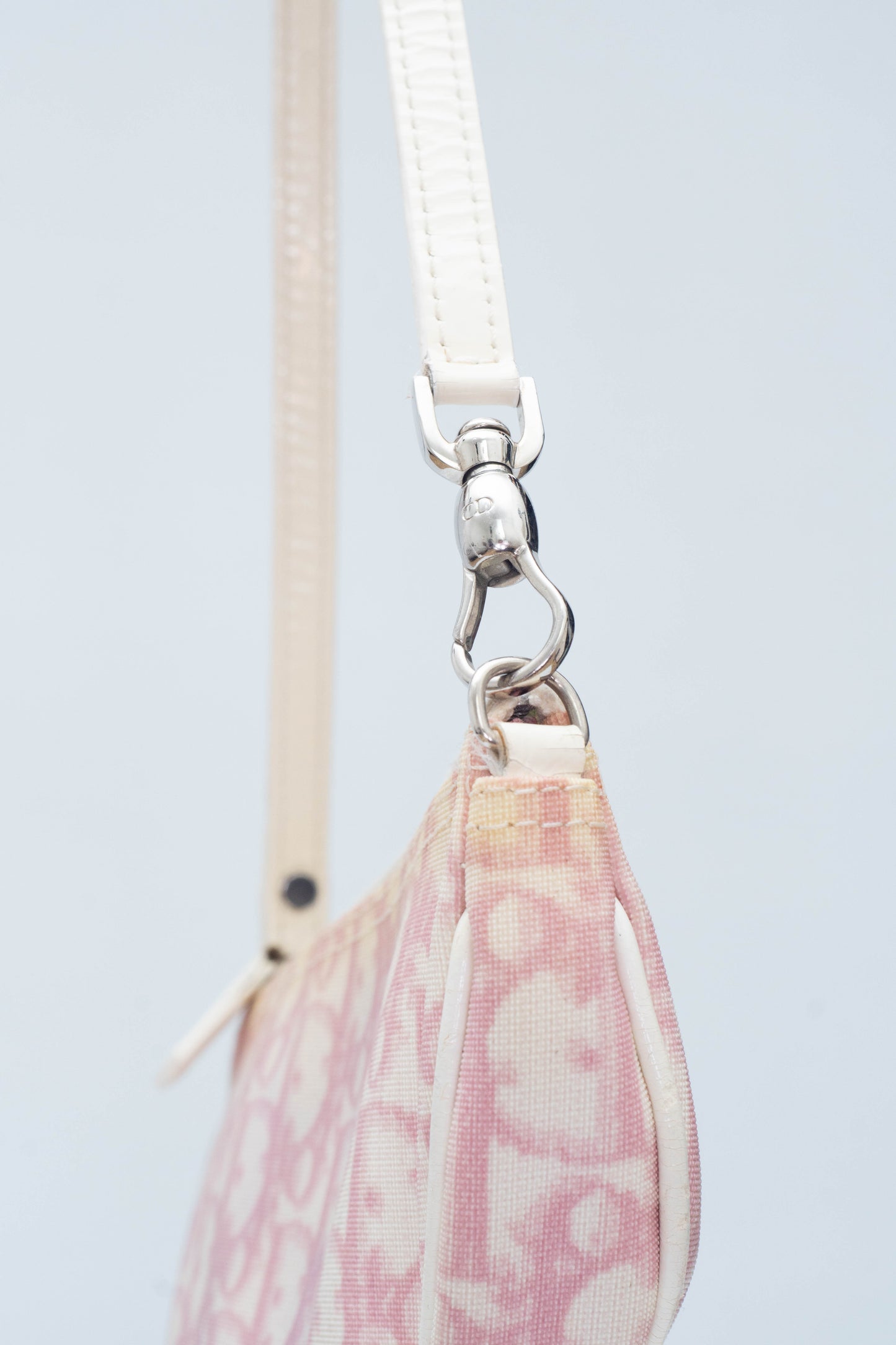 DIOR SADDLE