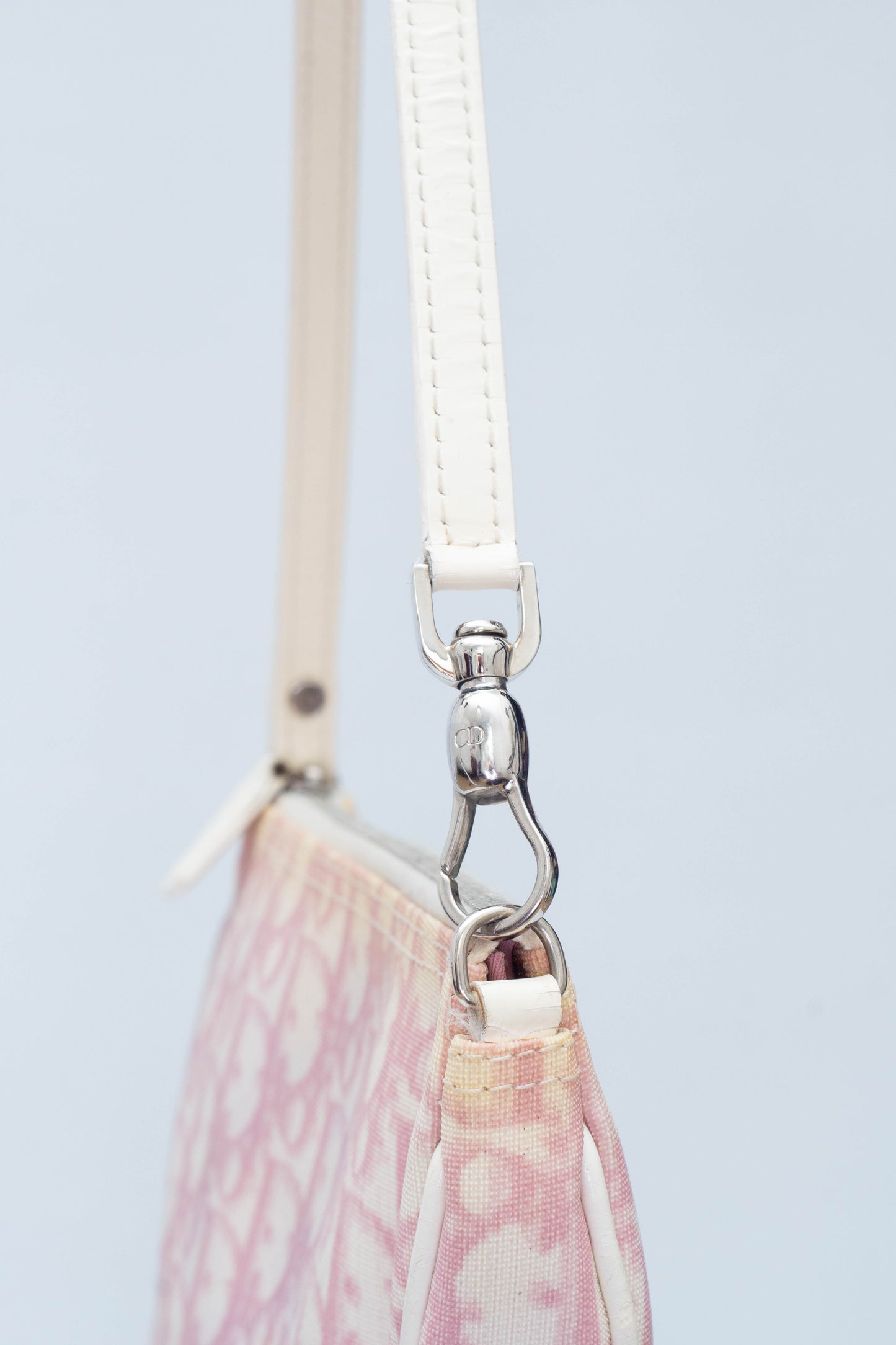DIOR SADDLE
