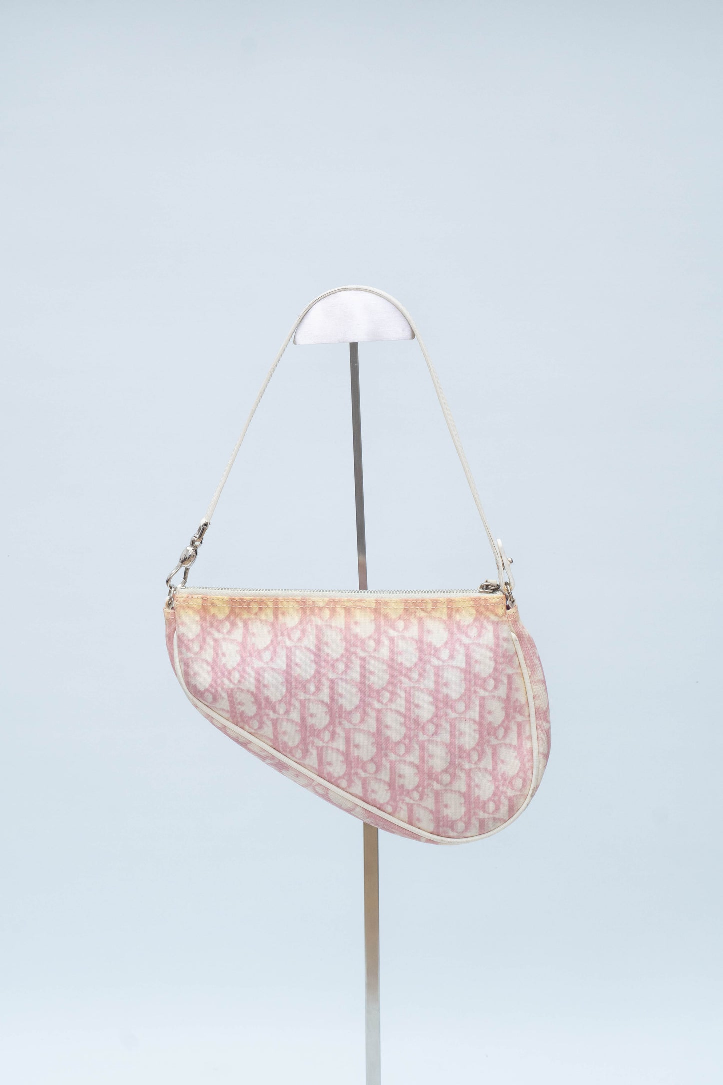 DIOR SADDLE