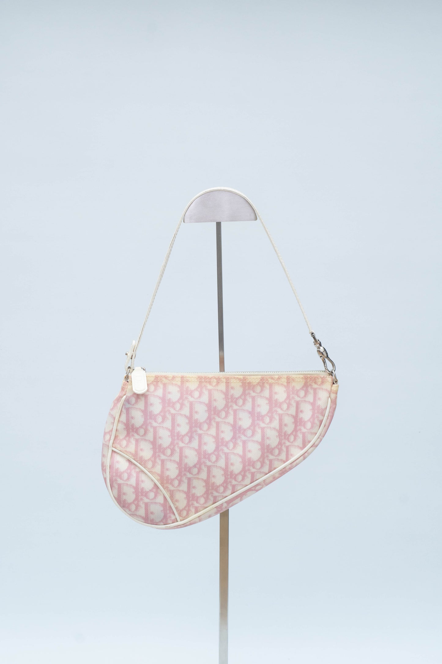 DIOR SADDLE