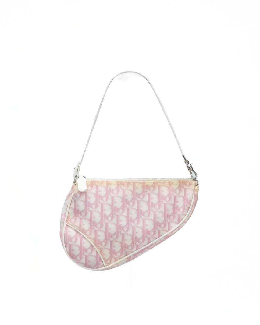 DIOR SADDLE