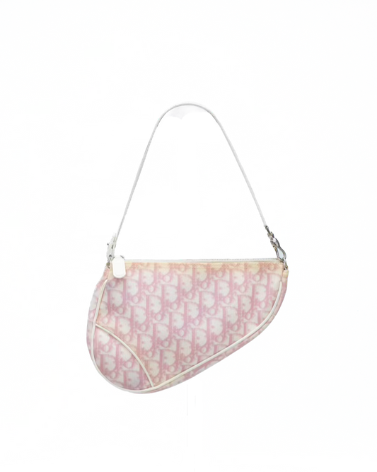 DIOR SADDLE